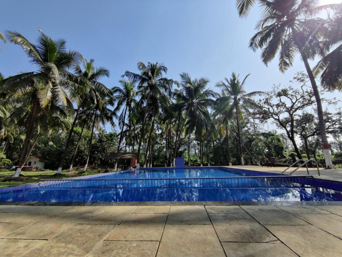 White House Beach Resort, Nagaon Εξωτερικό φωτογραφία